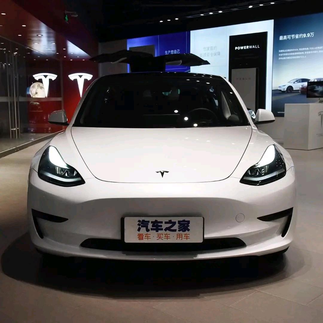 🍟一生🍎好运🍟