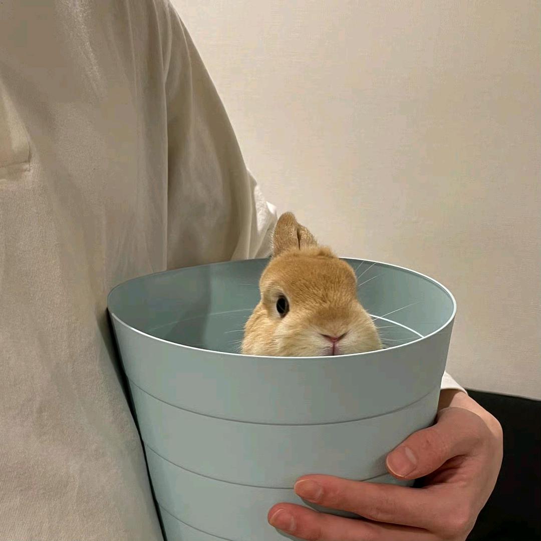 快说我是谁