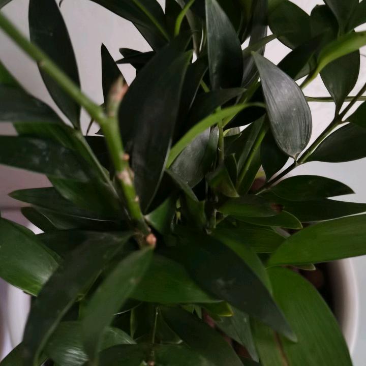 平凡生活😙❤️