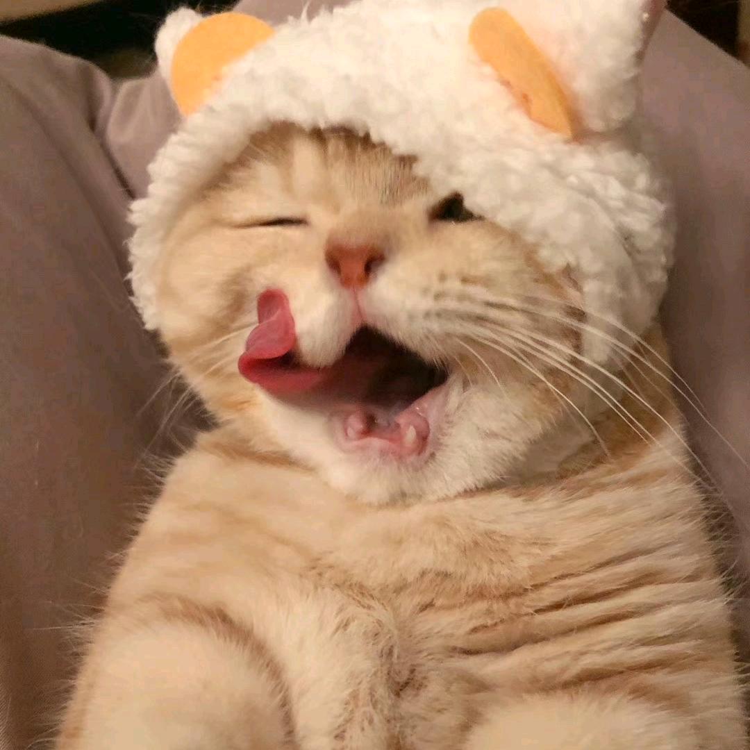 乌拉啦拉