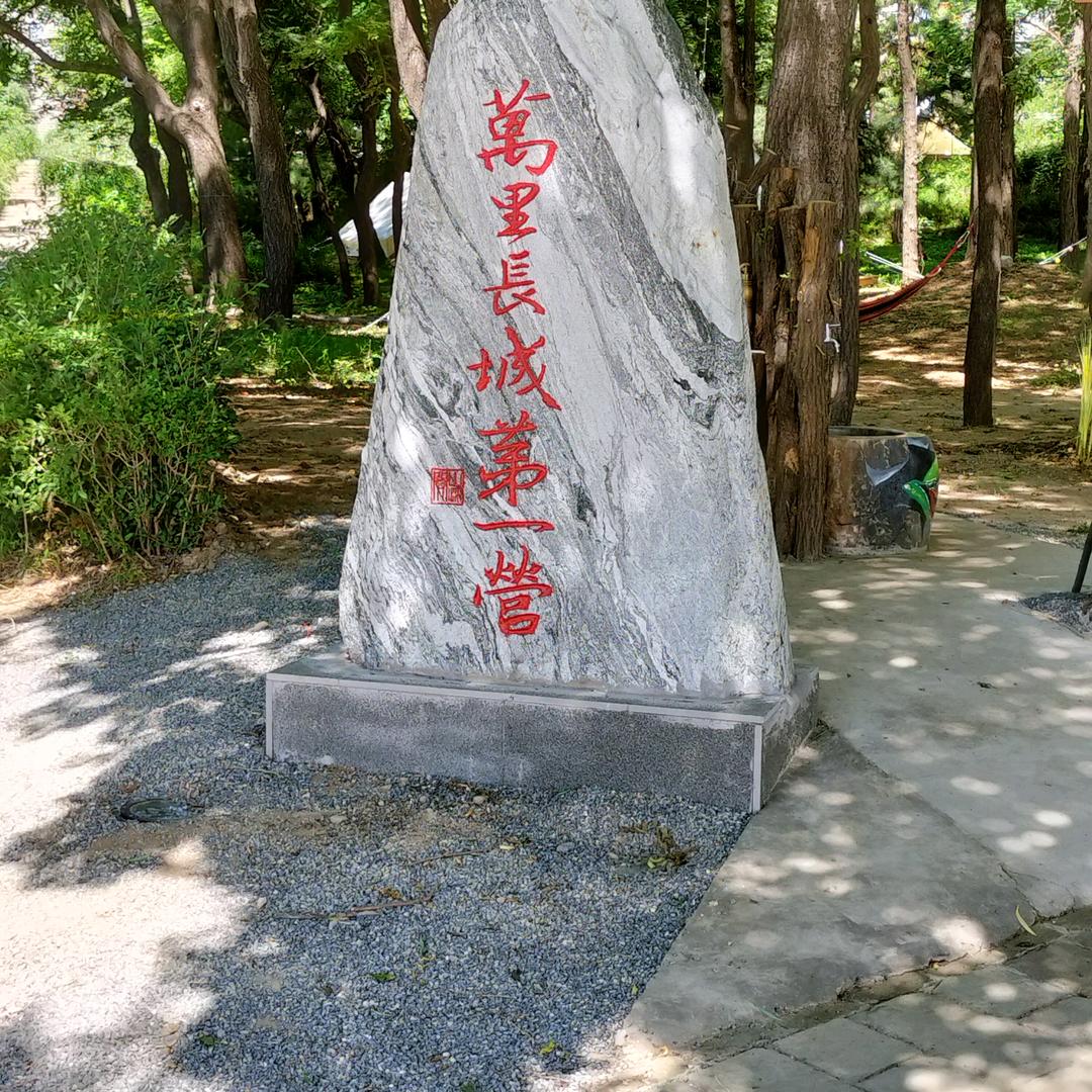自由人生小辛