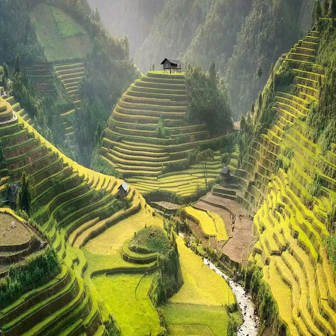 ♪ 加油加油! ♪ミ ミ ∧＿∧ ミ禾呈
