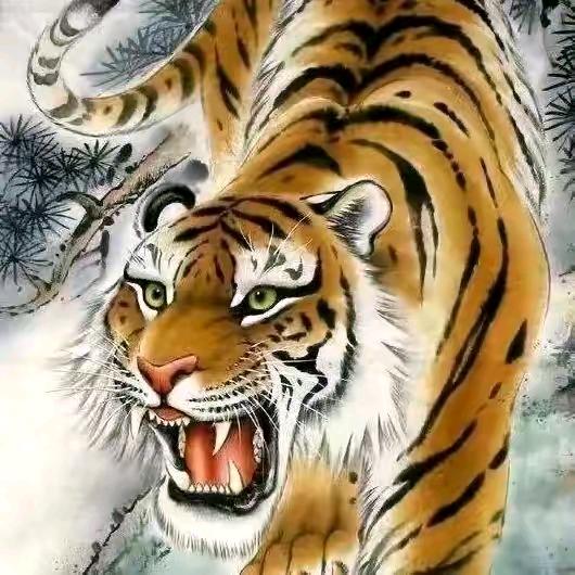 🐯虎头虎脑👍