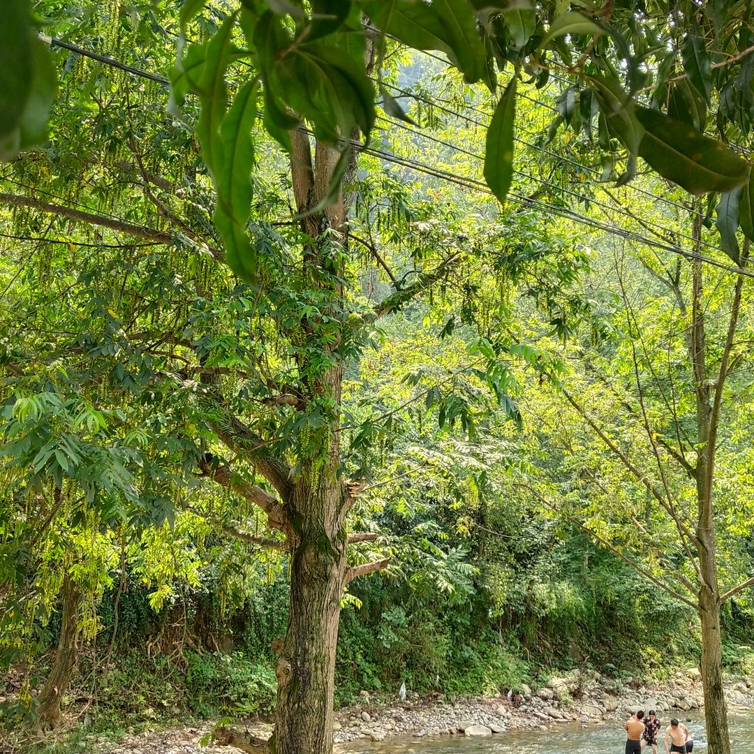 下牢溪山水农庄～