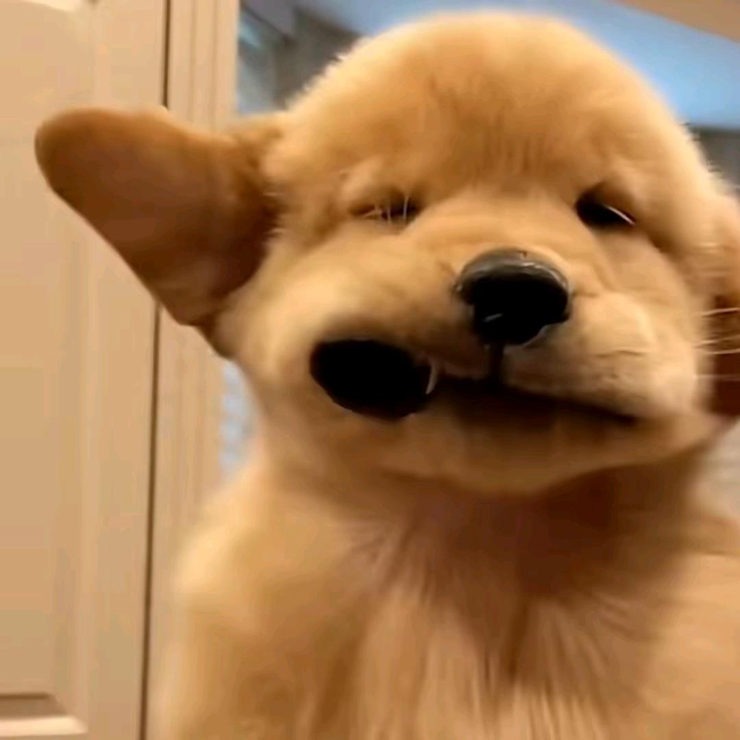 咕噜呼噜.