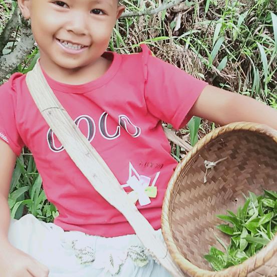 下磨烈19号绿水潭自家的有古树中大树小树