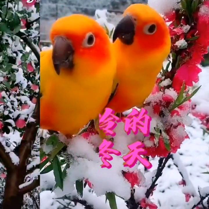 懂得感恩