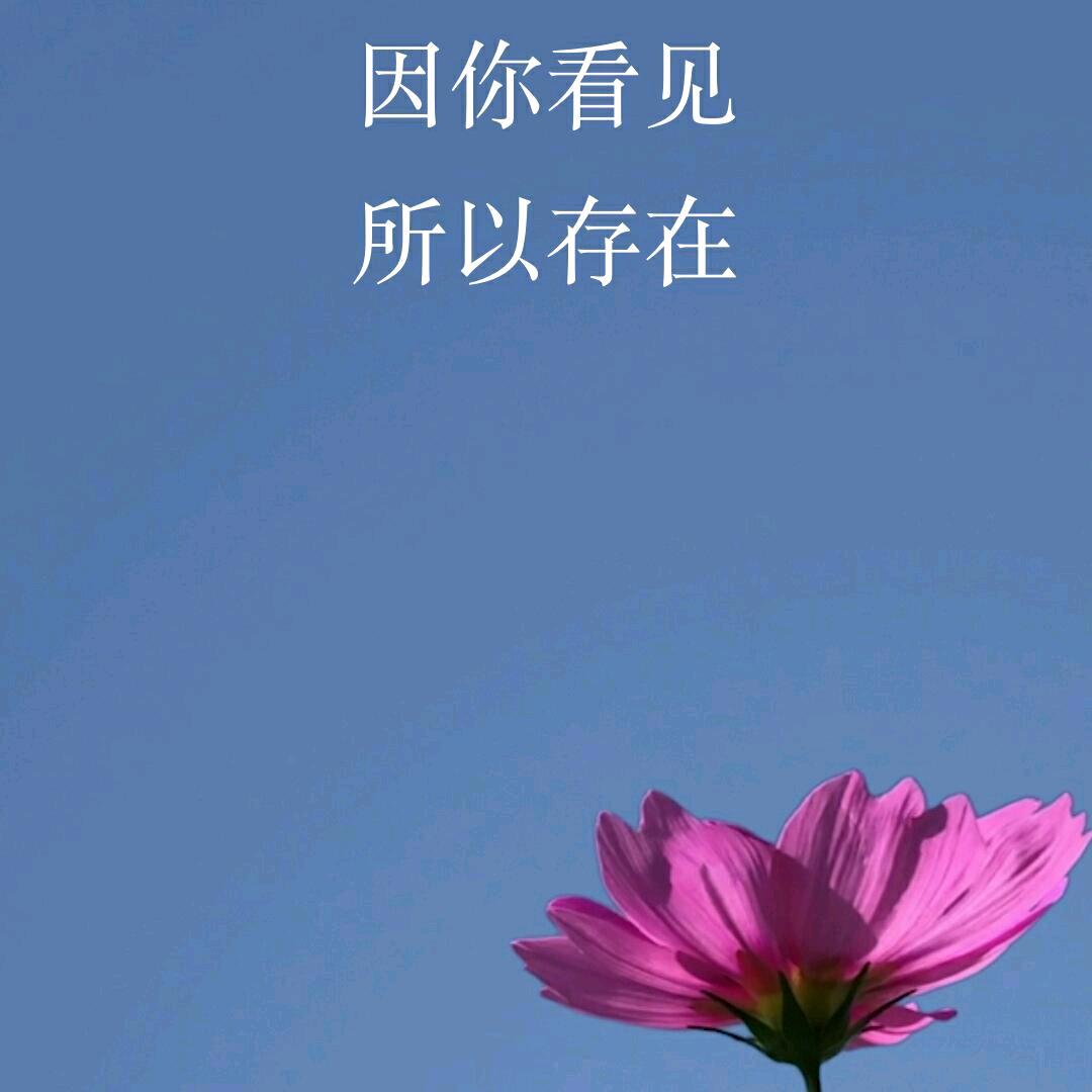 幸福飞儿