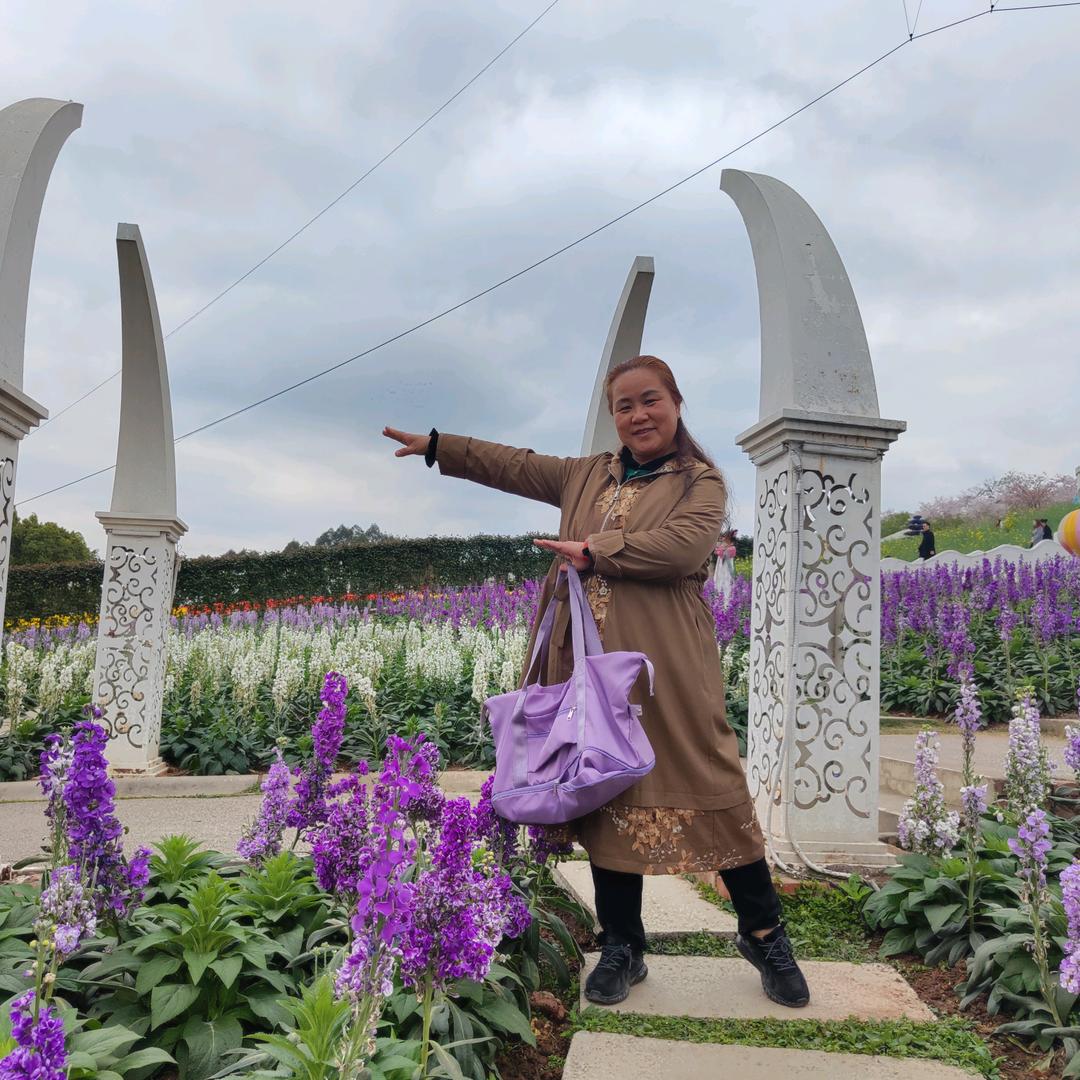 艺红，关注收藏，可帮你助力，会做数据