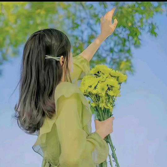 ，归去
