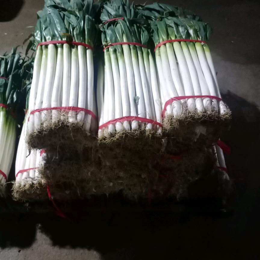 何以解忧唯有杜康