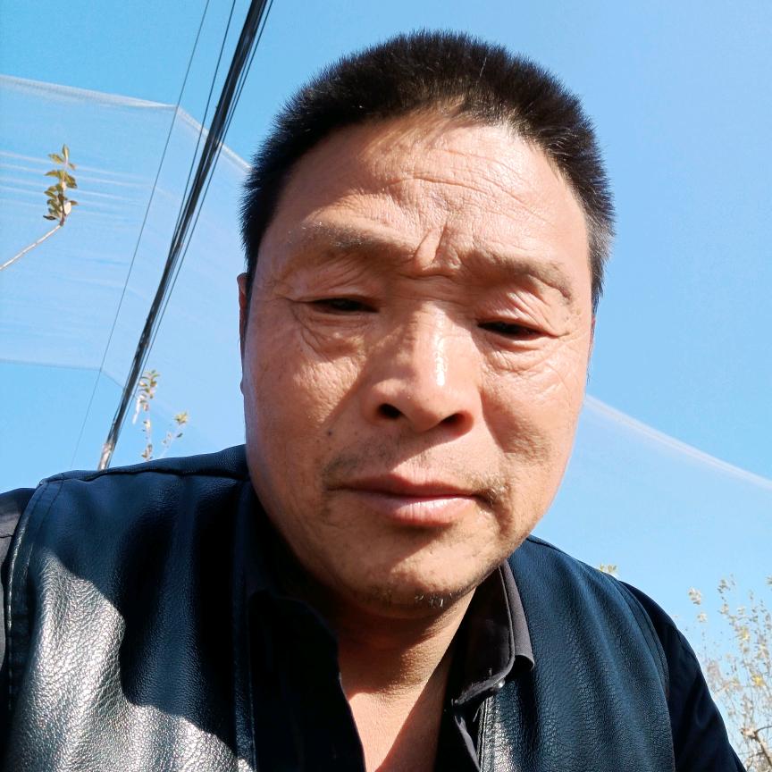 老四