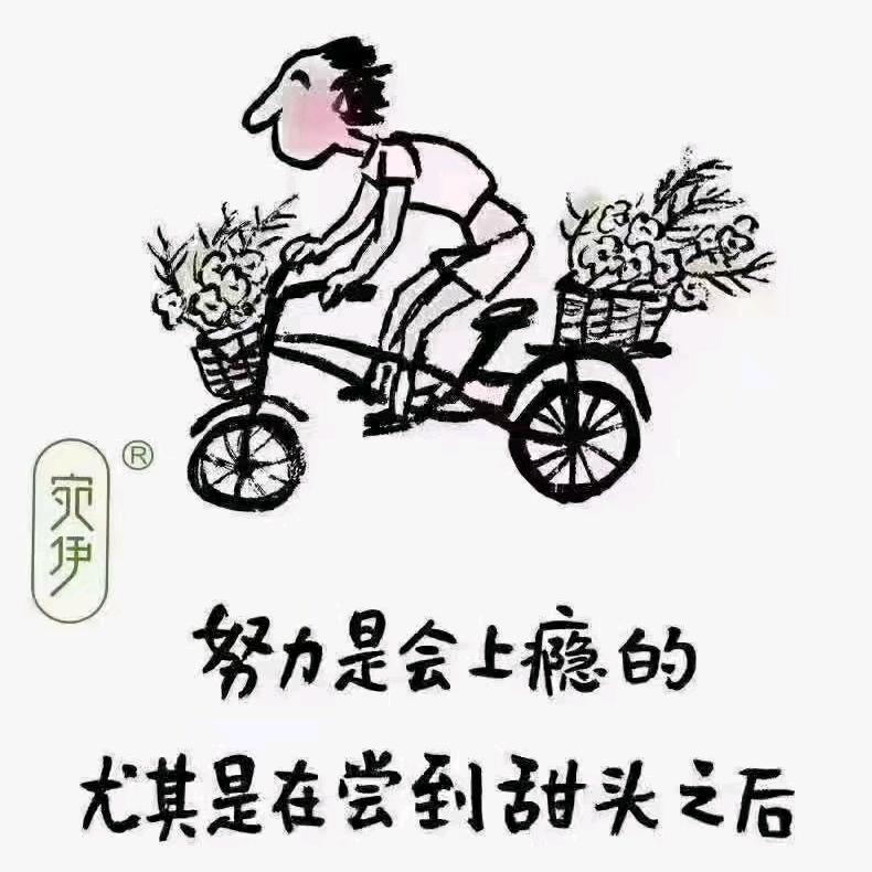 太阳小渝旻