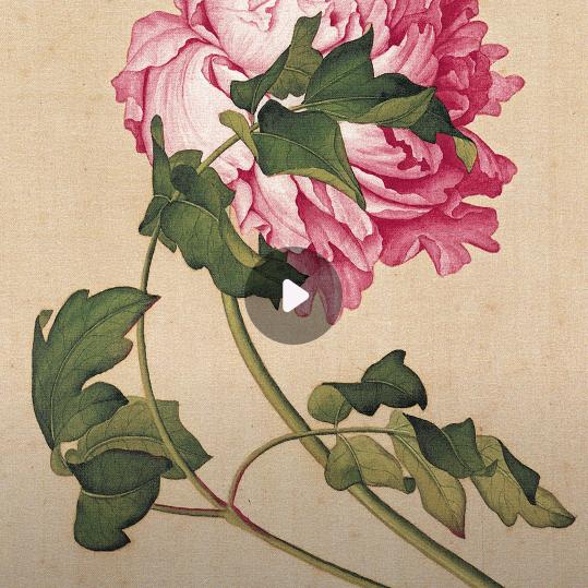 没有爱我的人。