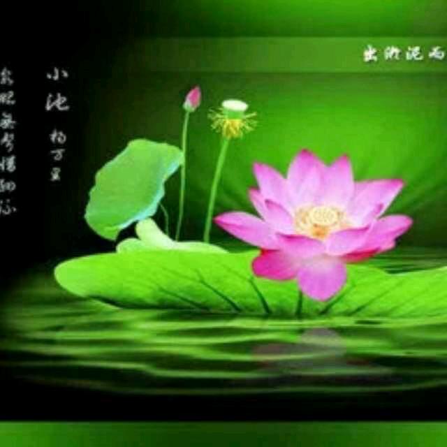 爱莲说