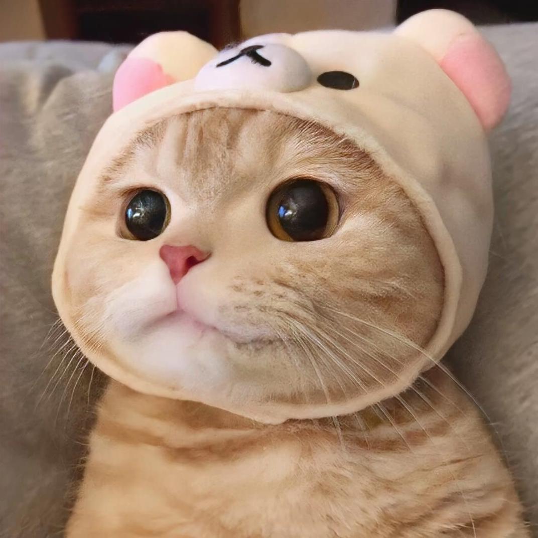 余生请你指教