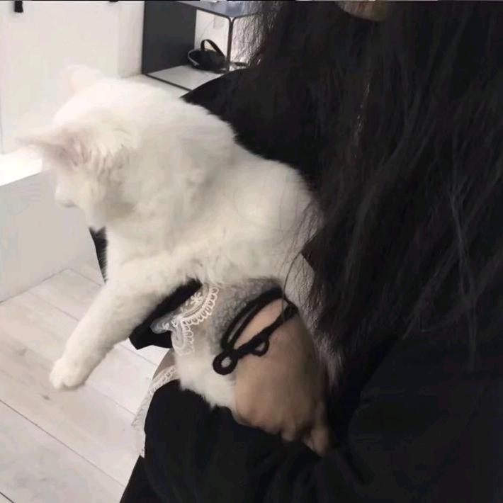 削苹果.