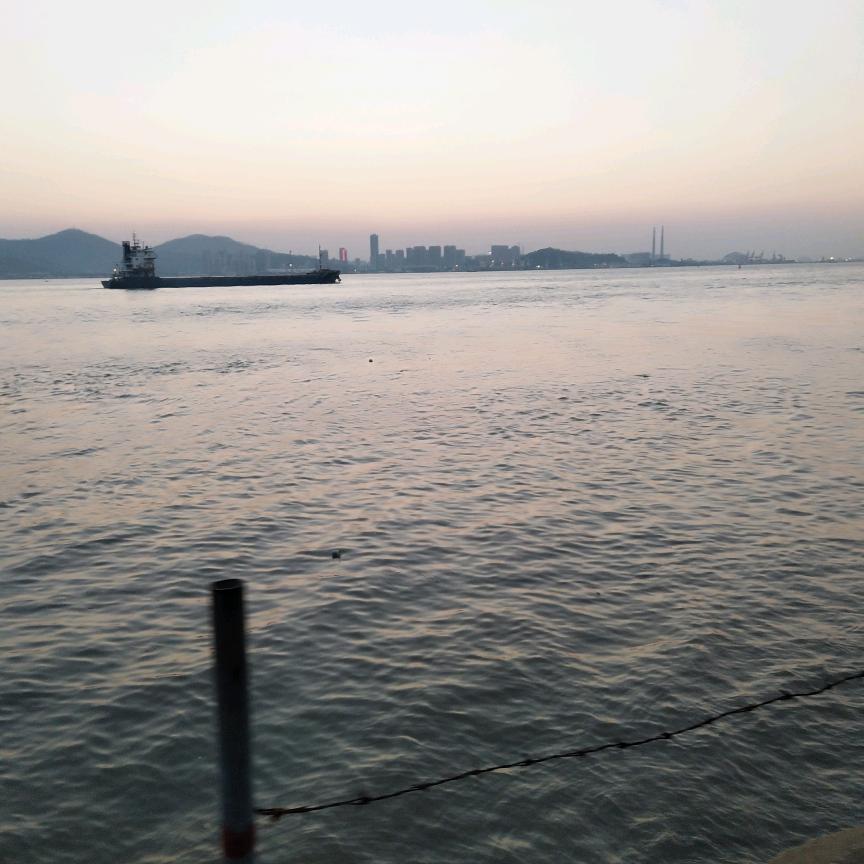 青呈82