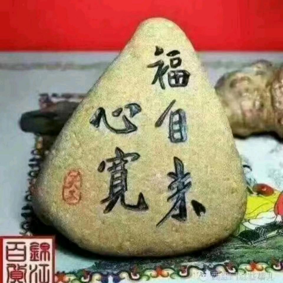 活成一束光