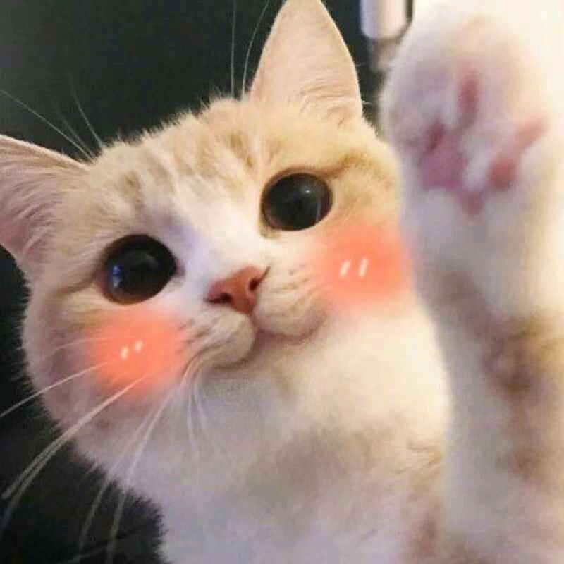 周二一烘焙坊