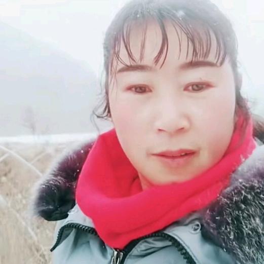 杨丽娜446688