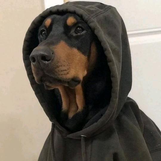 北北北北北北°