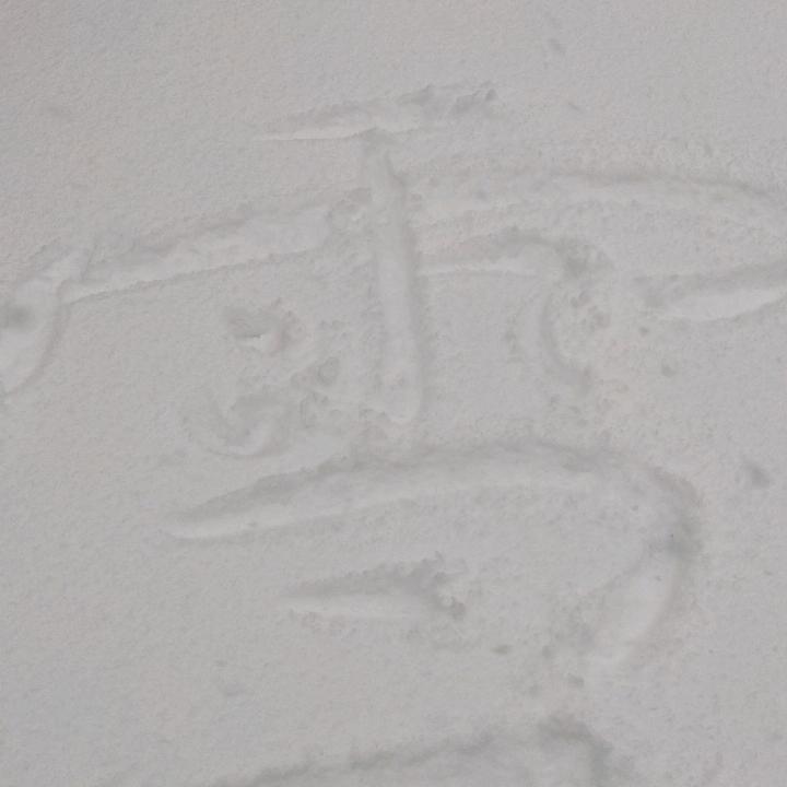老马和小李老师