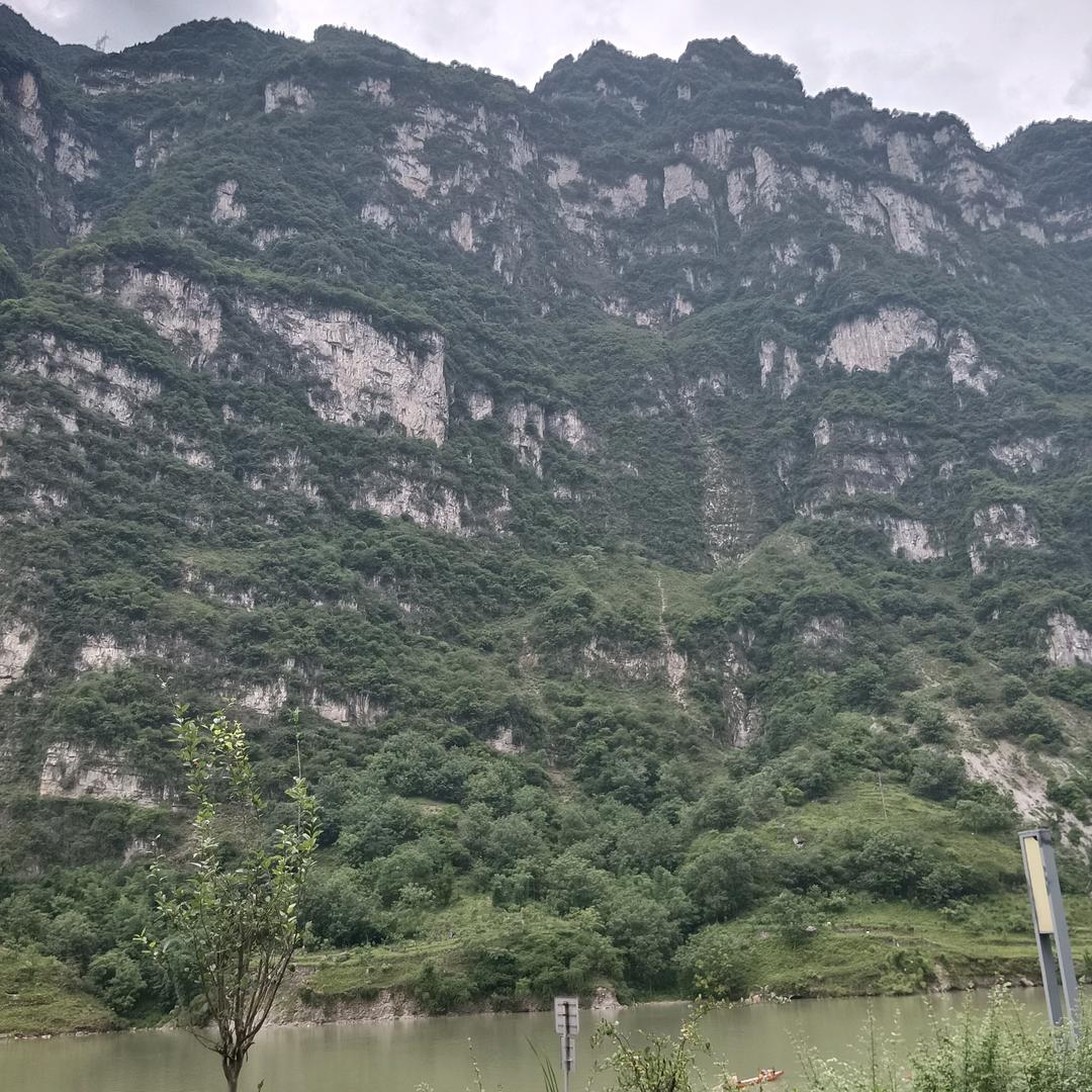 虎@