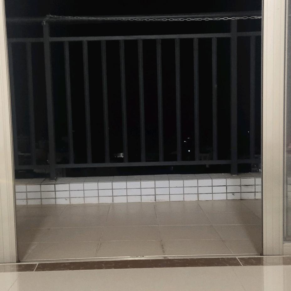 本地猪