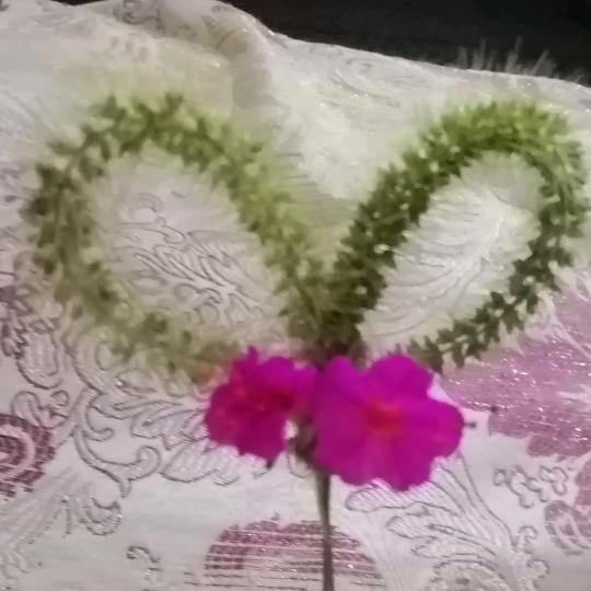 我是女皇不落泪