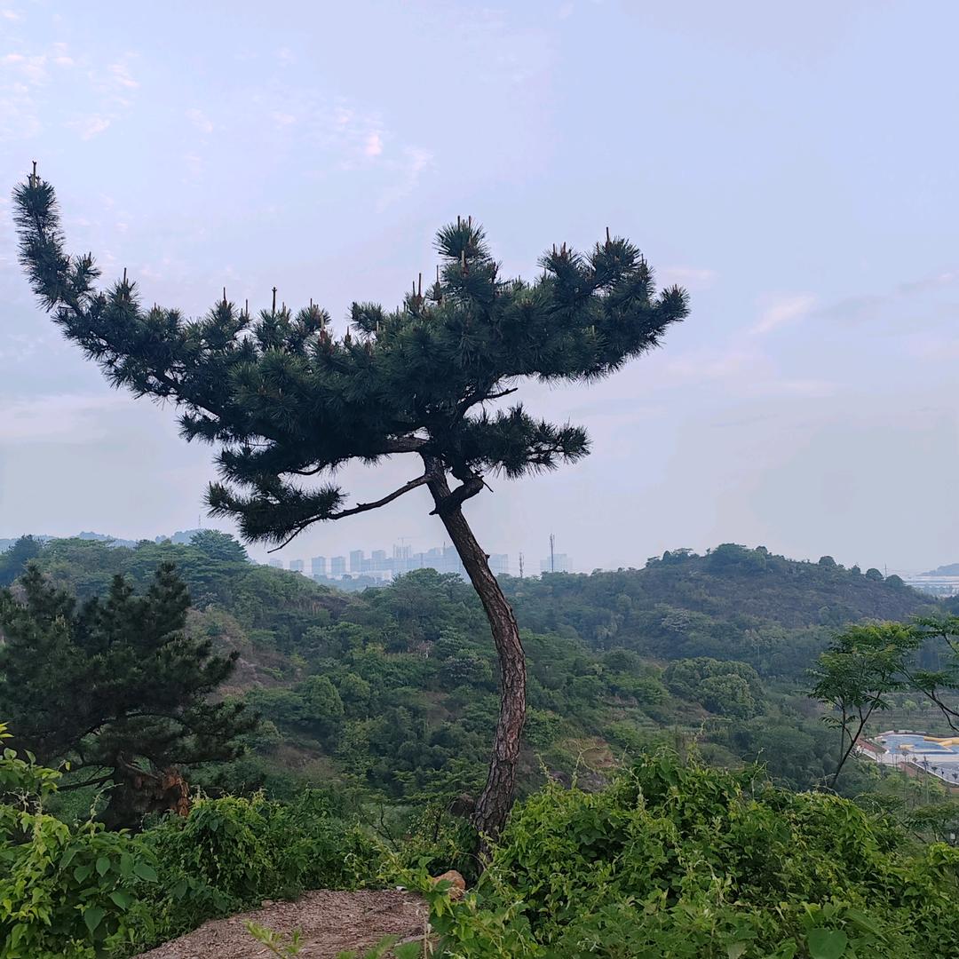 莫名