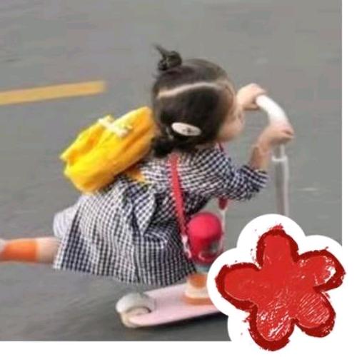 宋小宋