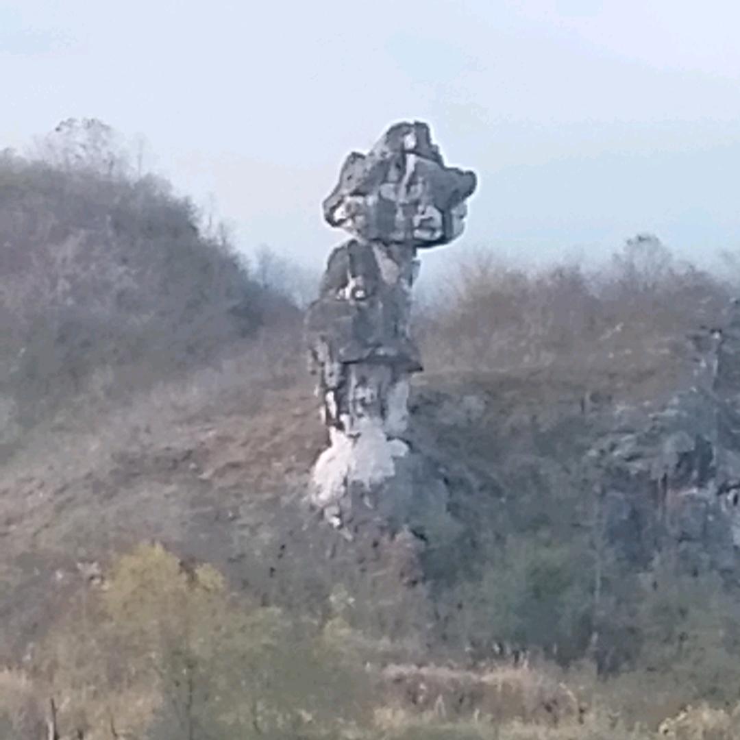 (   ˊ ᵕ ˋ 💦)💖唐心何包蛋