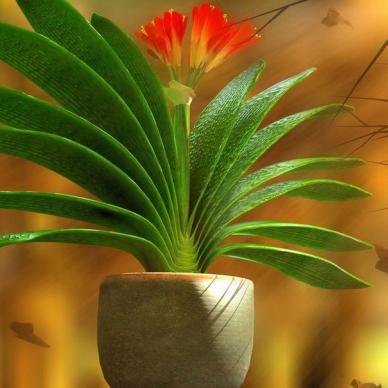 徐沟东门军平灌肠