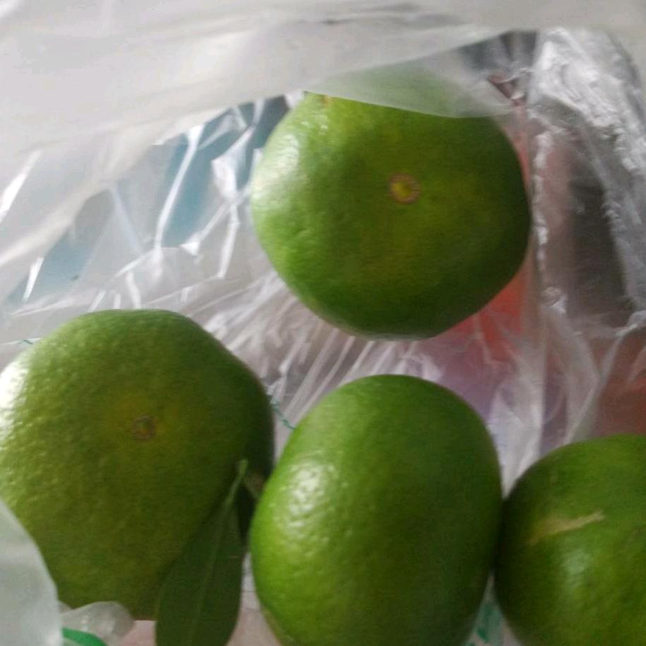 天健按摩林师傅