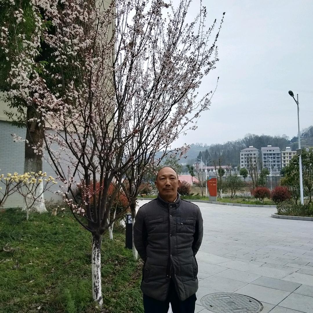 万清桥专业防水