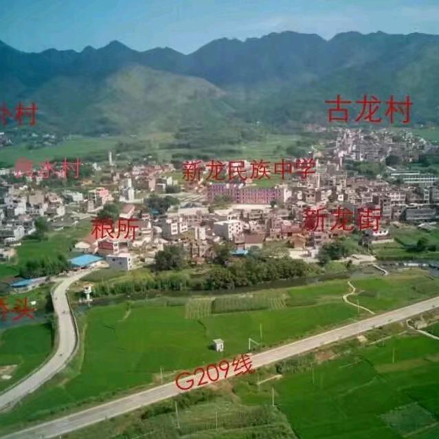 浪子无钱逛酒家