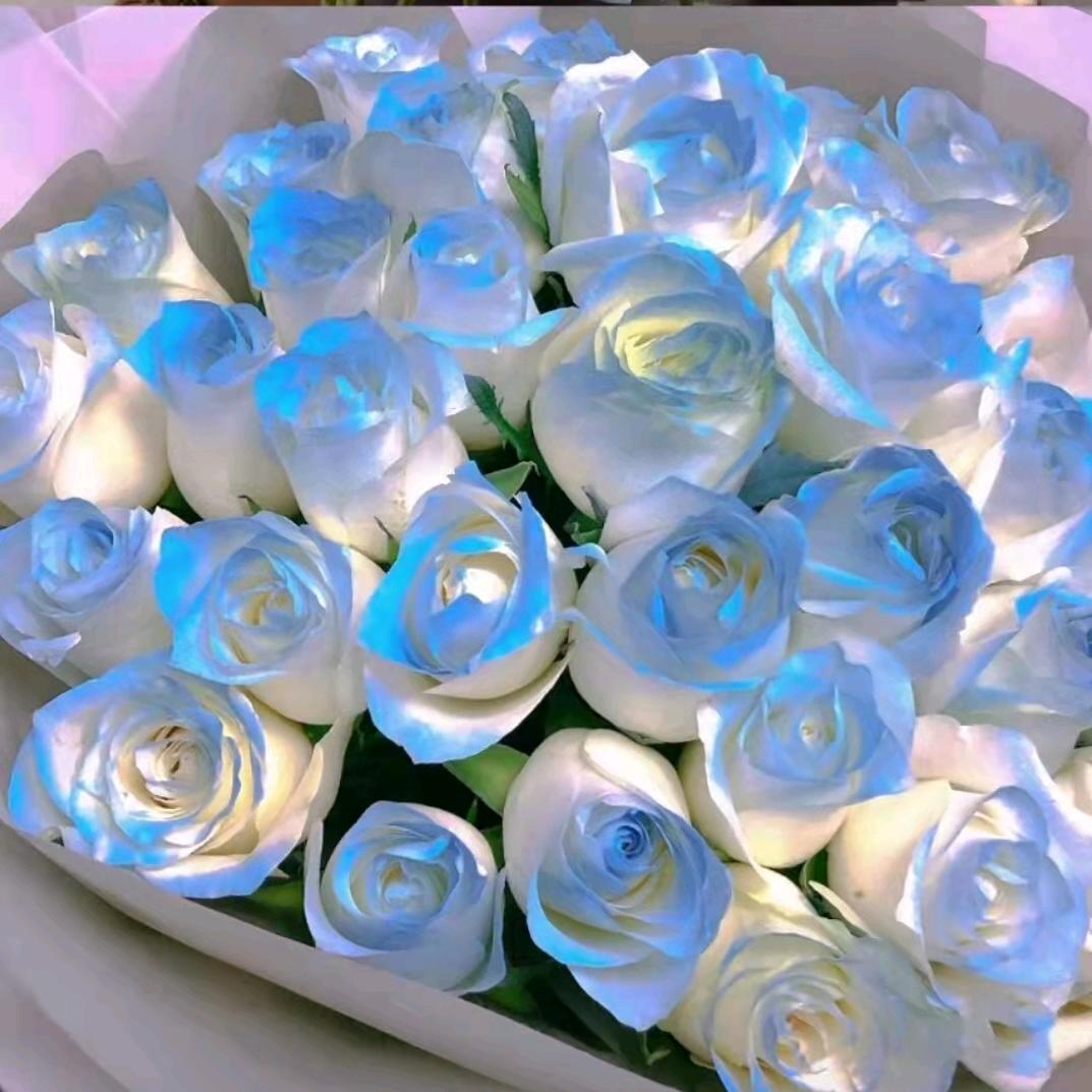 ღ᭄遗     憾ღ᭄♡ۣۖ