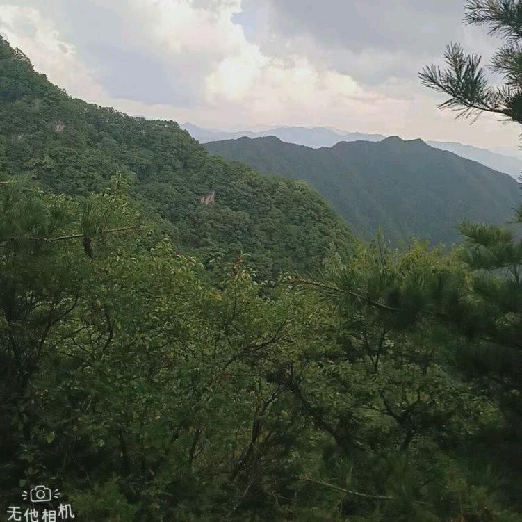 管哥