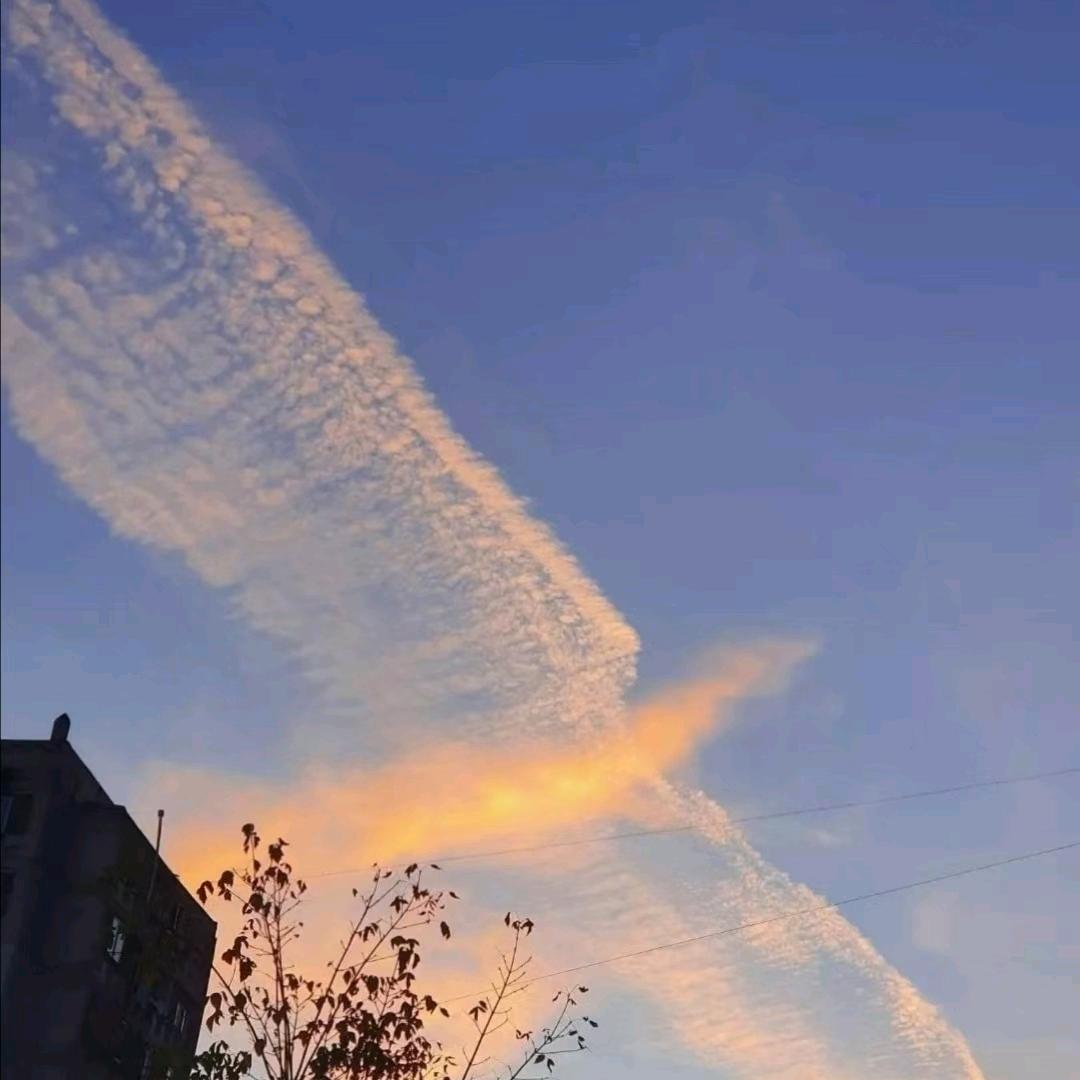 孤傲天🇨🇳崛起