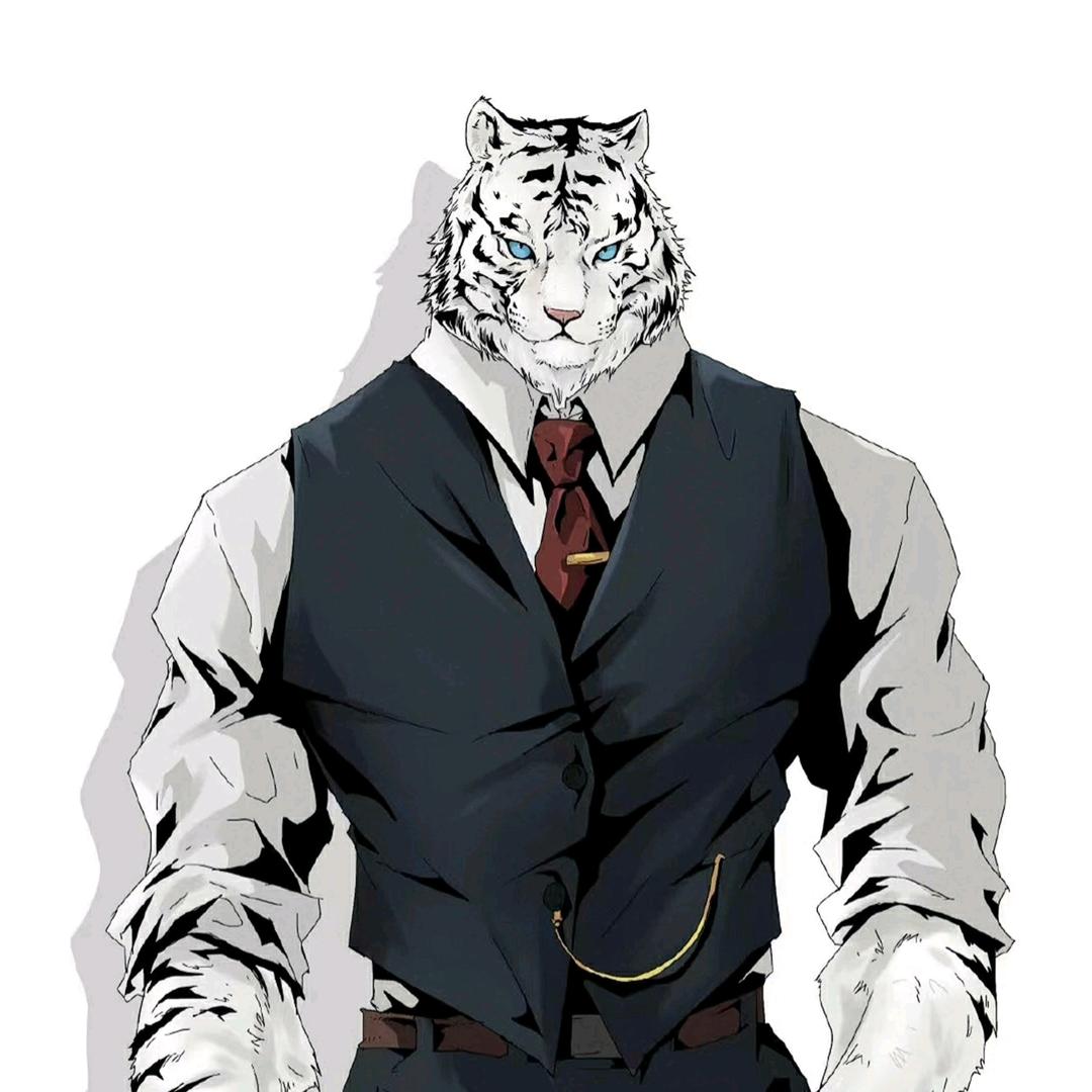 Tony发型师--Tiger老师