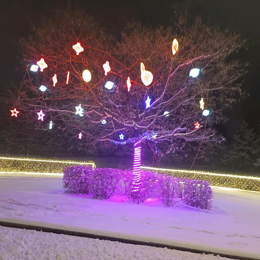 冰雪婉儿