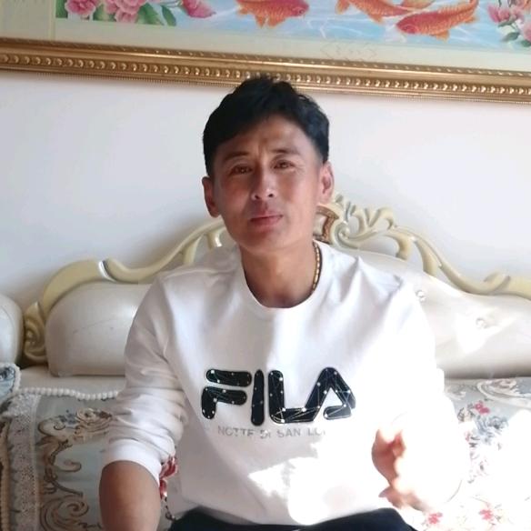 龙哥