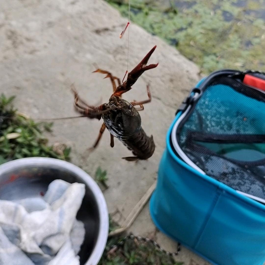 燃烧吧～伟大的钓手