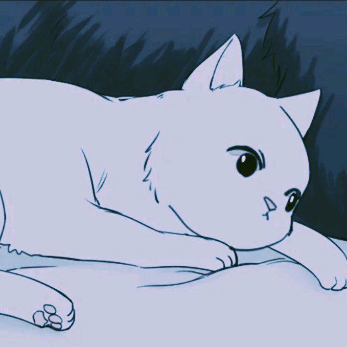 抱抱柒夕