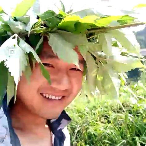 龚：洋葱