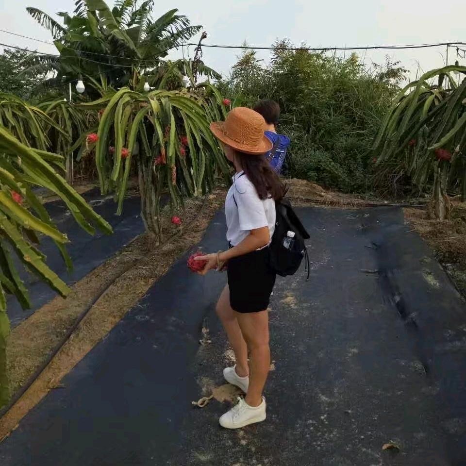 转身是天涯