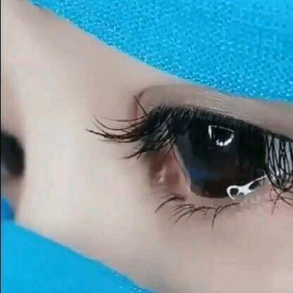 🌸═╬ 木子❀ツ