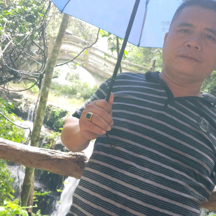 舍爱求全