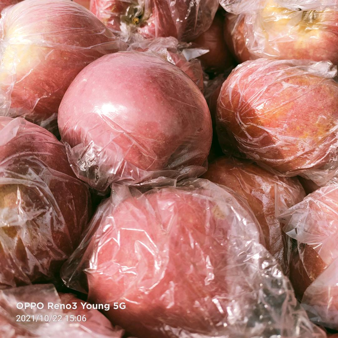 三宝水果供应链